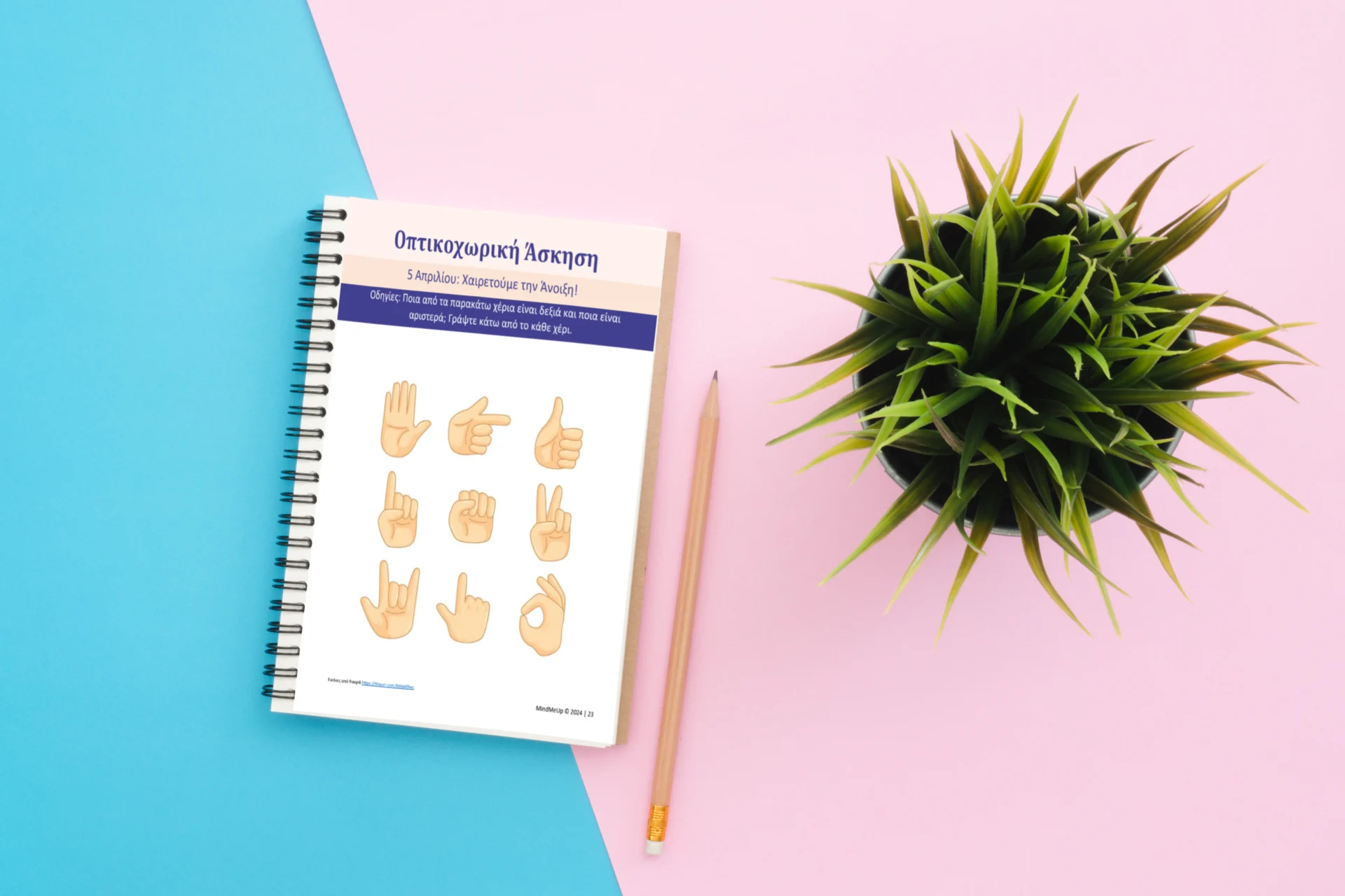 Cognitive Exercise Booklet (Printed) - Beginner - Image 7