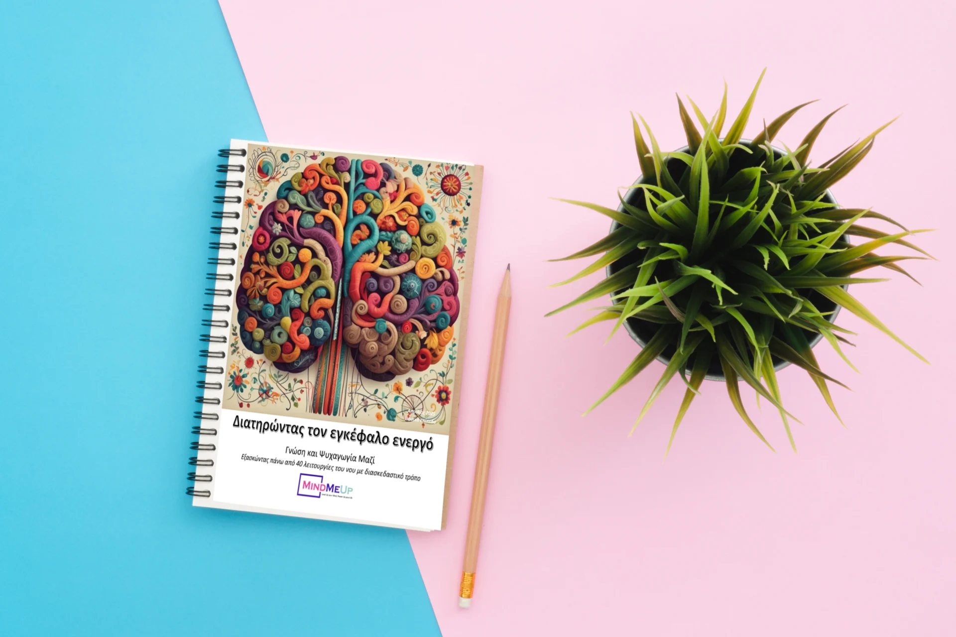 Cognitive Exercise Booklet (Printed) - Beginner - Image 3